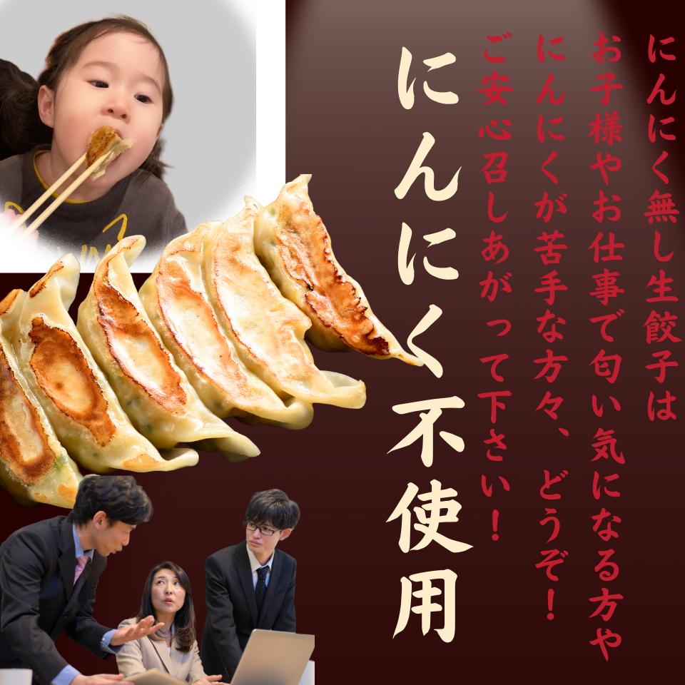 96個入生餃子≪送料無料≫中華職人味「にんにく抜き餃子」＊2袋大きいサイズお買いお得国産豚肉冷凍餃子おかず惣菜ご飯お子様安心家族ビールお酒餃子パーティー美味いぎょうざギョウザギフト贈り物大容量お中元