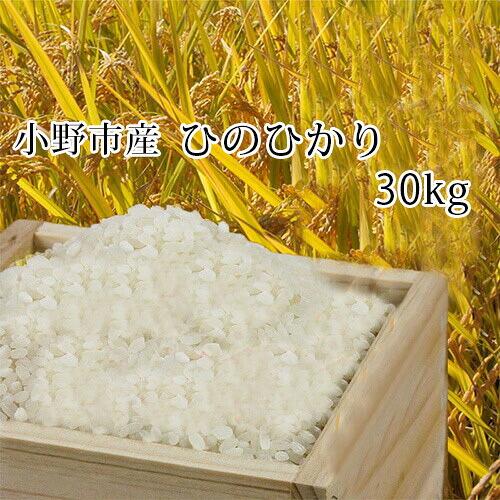 ■2025年 秋 収穫 新米 ひのひかり 30kg 兵庫県播州小野産 専用冷蔵庫にて冷却保管！ 白米は出荷直前に精米してお届け！｜ハーティ・エクスプレス
