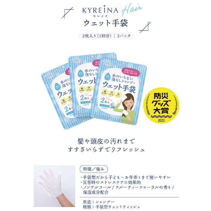 【5年保存】水のいらない全身キレイセット 3日分 防災 衛生用品 セット 断水対策 水なし 体拭きシート 歯磨きシート ドライシャンプー 入院 介護 災害備蓄 ウェットティッシュ 楽天1位