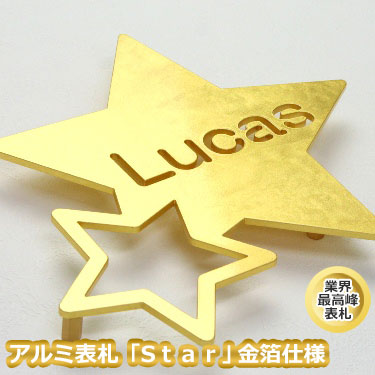 【本日ポイント10倍】 表札 金箔 アルミ 【送料無料】アルミ表札「Star」金箔仕様ひょうさつ【GHO表札】【人気表札】戸建｜表札マイスター