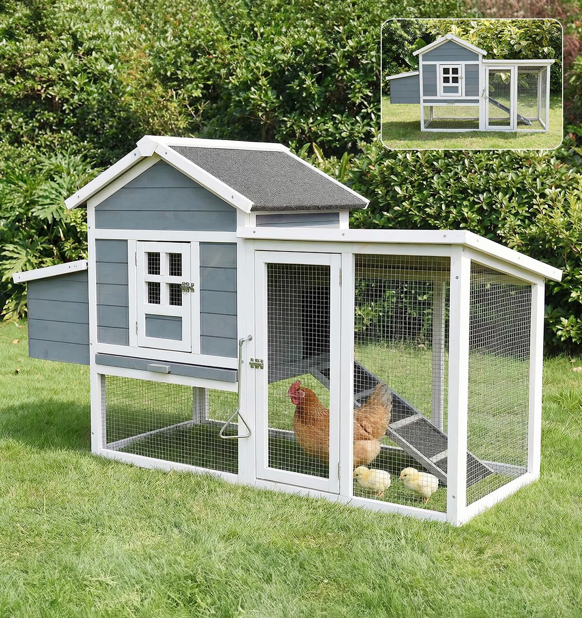 木製鶏掘っ立て小屋 鶏小屋 高床式 産卵箱付き添い人 4～6 羽用 大型 鶏伏せ籠 雨合羽大屋根 抽き出し式お盆 大型鳥かご 繁殖伏せ籠 繁殖掘っ立て小屋 小毛の荒物 うずら 鳩 兎 実験材料 フェネットボール ハリネズミ 大静電容量 純一無雑材 見ること窓 室外屋内兼用 精神的な統合飾り気の無い (薄墨色)