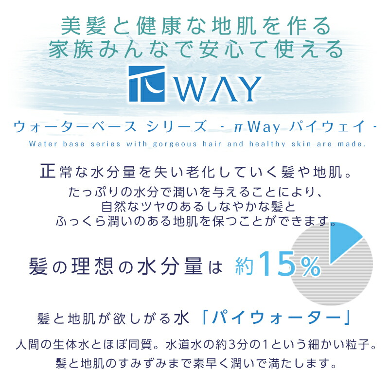 代引不可 ニューウェイジャパン パイウェイ リカバリー シャンプー 4000ml 業務用 リカバリーシャンプー エコパイ 詰め替え用 詰替 レフィル 大容量 頭皮ケア スキャルプ スカルプ ヘアケア サロン専売 美容室専売 美容室 美容院 バーバーアームズ 現金特価