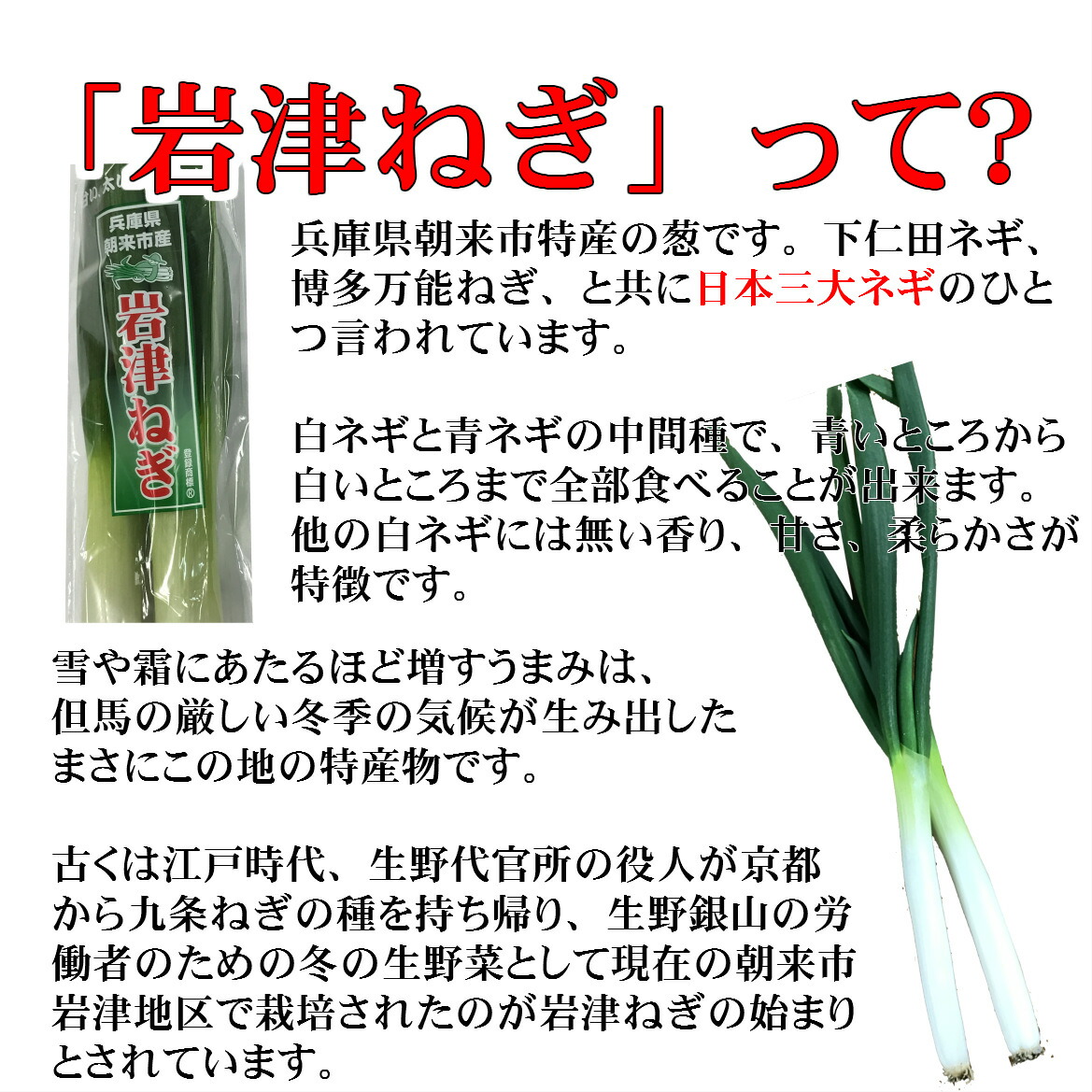 岩津ねぎって1
