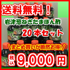 岩津葱ねぎたまぽん酢 調味料 500ml 断然お得な本セット ポン酢 送料無料 岩津葱とたまねぎのポン酢 その他 たまねぎ ポン酢 タマネギ ポン酢 万能 調味料 お土産 但馬 朝来 日本三大ねぎ ドレッシング 焼肉 野菜 黒豆とご飯のお供 八庵 はちあん 朝来市