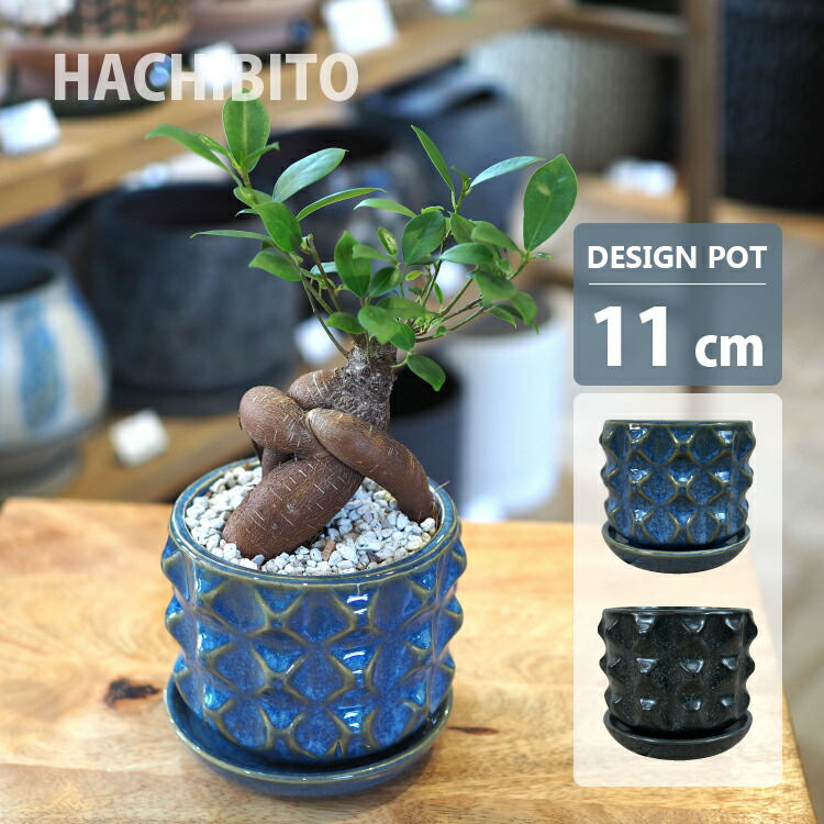楽天市場】植木鉢 おしゃれ 陶器鉢 クリアグラデーションポット