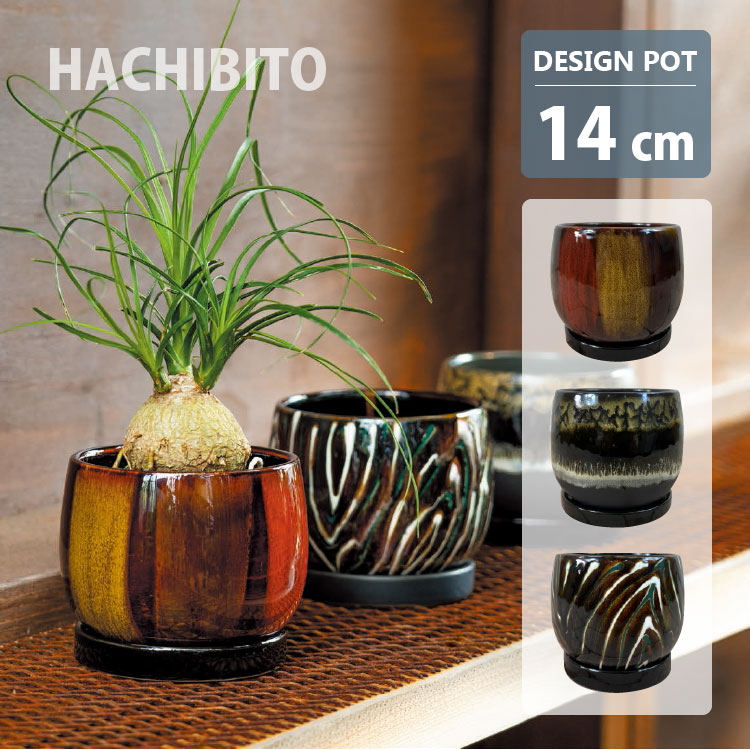 ton　植木鉢11点 インテリア鉢/陶器鉢/BOEX】ニードル Φ11cm （HO-2511)