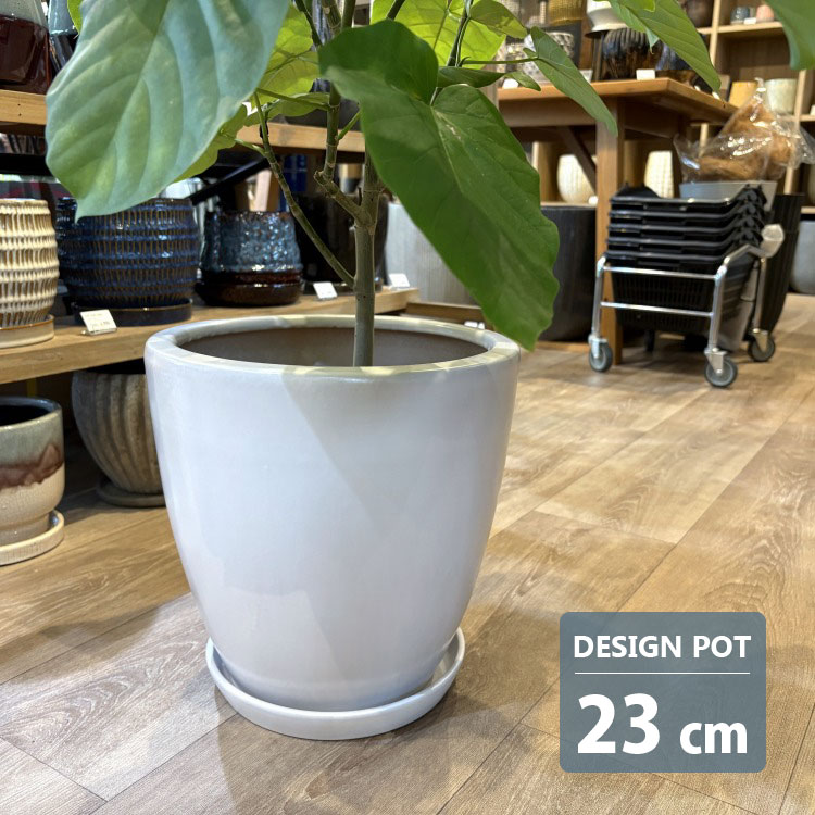高さは、30cm陶器 楽天市場】陶器鉢 植木鉢 ホワイトポット横長型 大 幅30cm×高さ