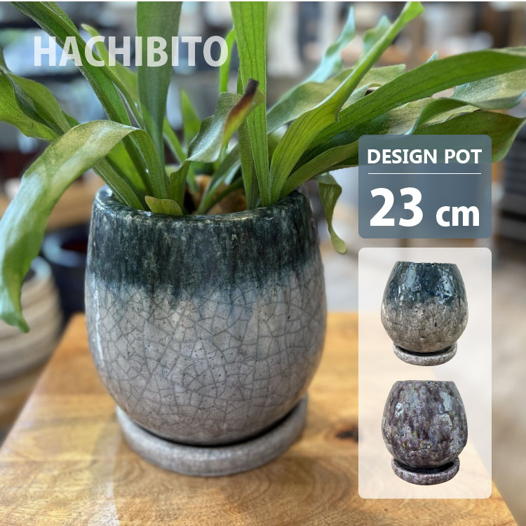 シャビーな陶器の植木鉢と受け皿セット(鉢6個、皿5枚) シャビーな陶器の植木鉢と受け皿セット(鉢6個、皿5枚) 僕の