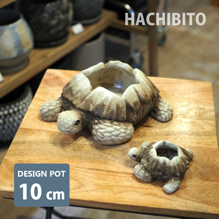 楽天市場】植木鉢 おしゃれ タートルポット RR505-200 W18cm x D18cm x