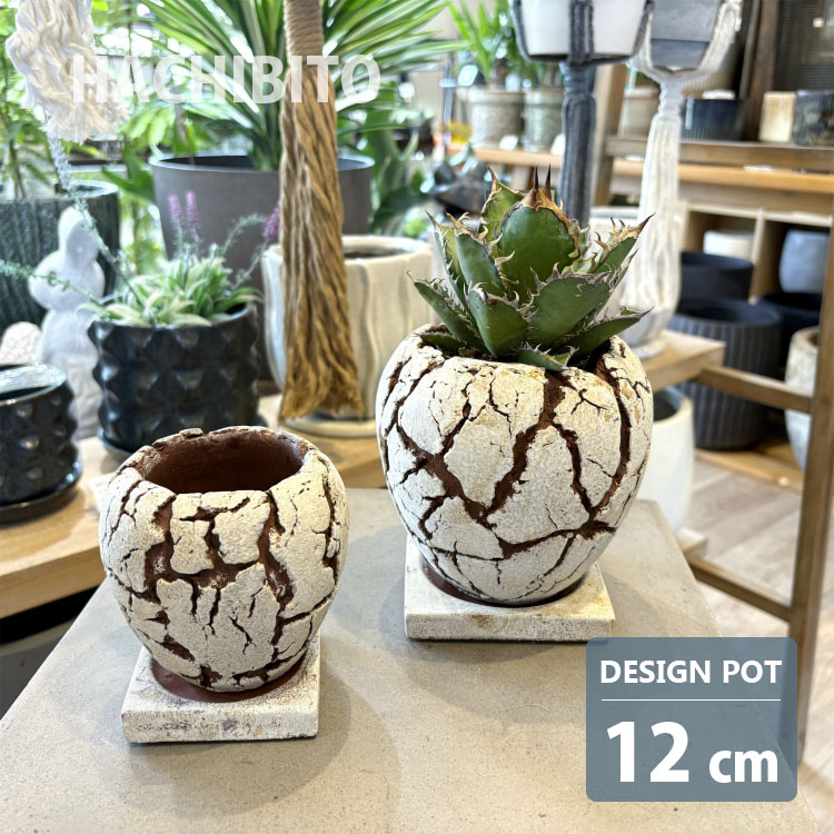 楽天市場】植木鉢 おしゃれ セメント クラックポット RR512-090 3号