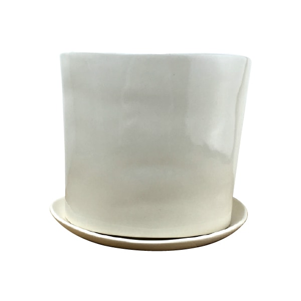 数学 甲虫 五十 植木鉢 白 おしゃれ 苦味 痴漢 コース