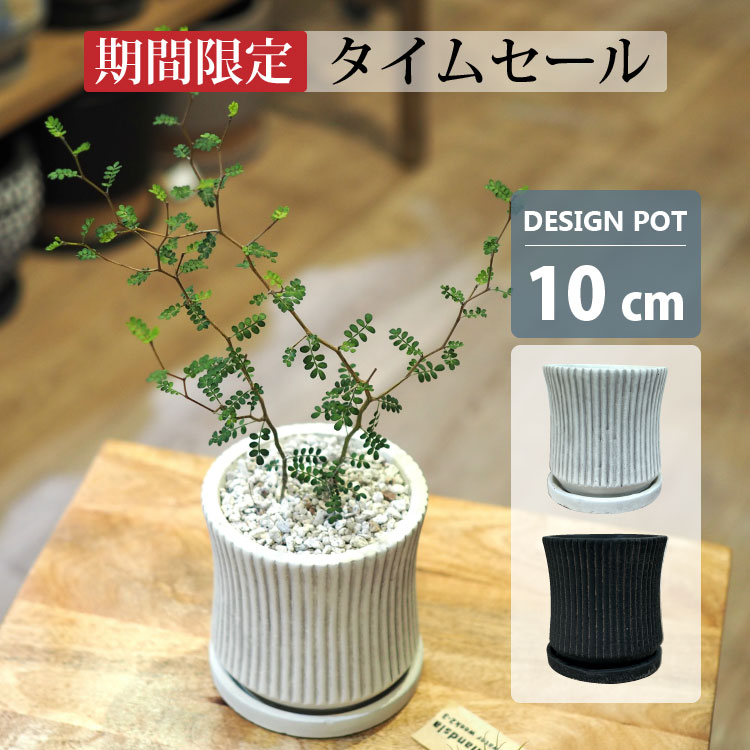 楽天市場】植木鉢 おしゃれ 陶器鉢 クリアグラデーションポット 楽天市場】植木鉢 おしゃれ 陶器鉢 クリアグラデーションポット