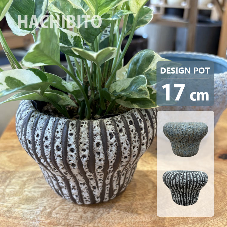 【大特価】陶器鉢 4個まとめ売り un417_t3.jpg