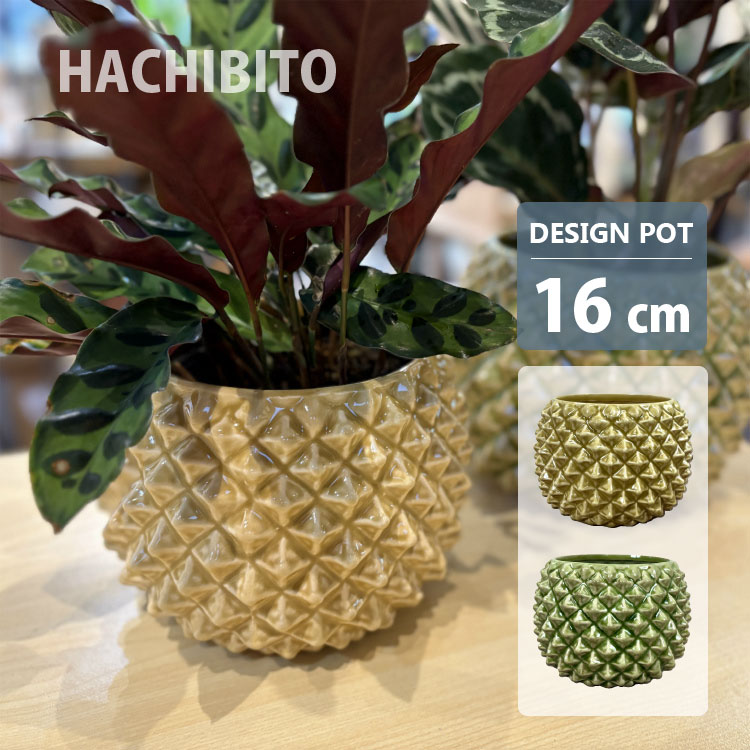 楽天市場】植木鉢 おしゃれ 陶器鉢 パイナップルポット UN492