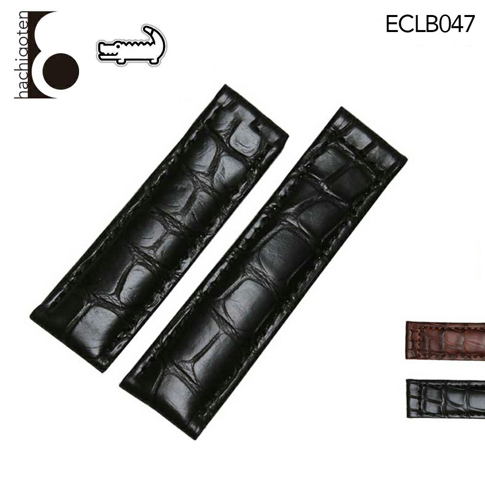 eclb047.jpg
