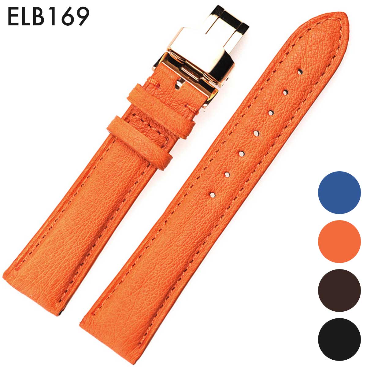 elb169.jpg
