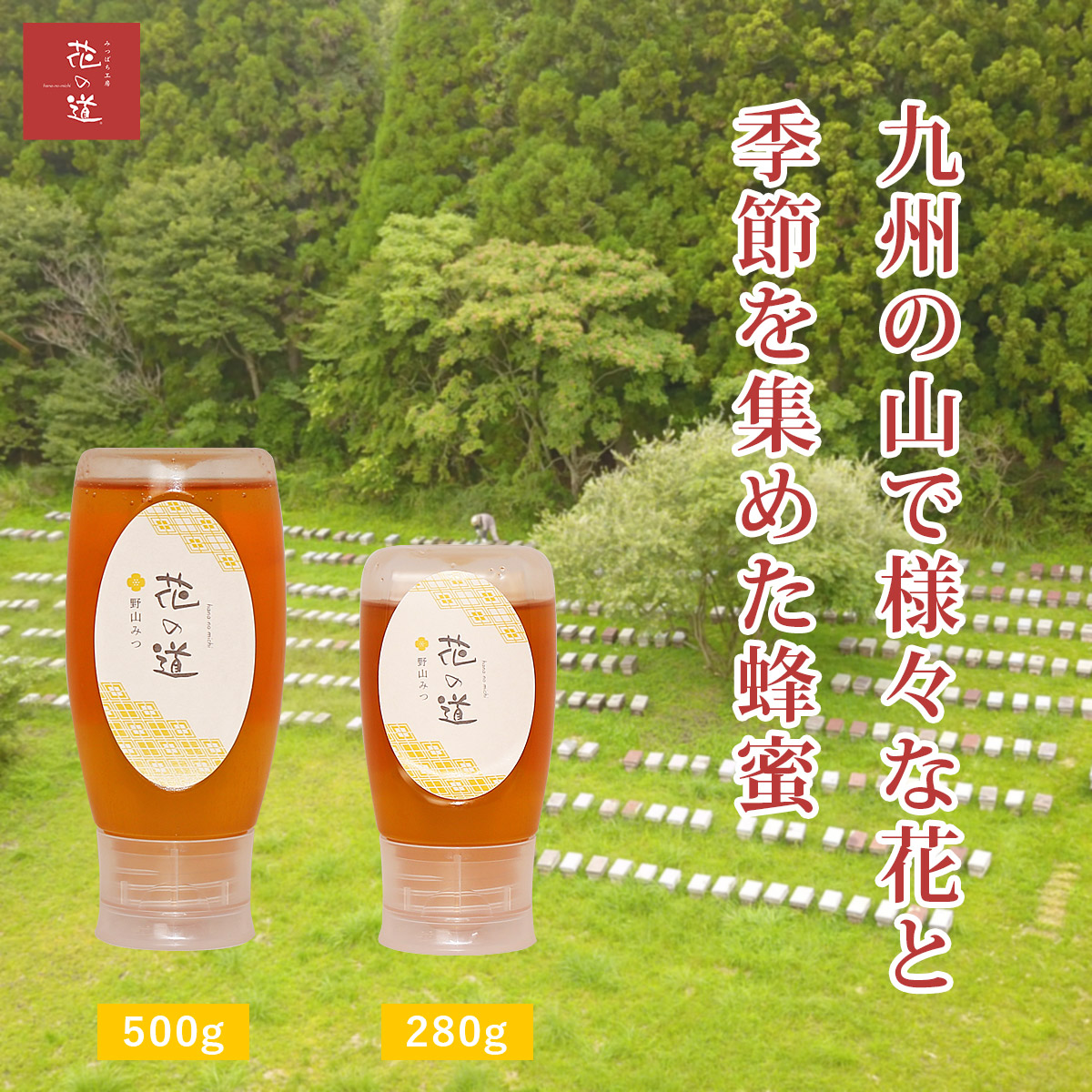 楽天市場】純粋 はちみつ 600g 純国産ハチミツ 蜂蜜 お取り寄せ 瓶詰め