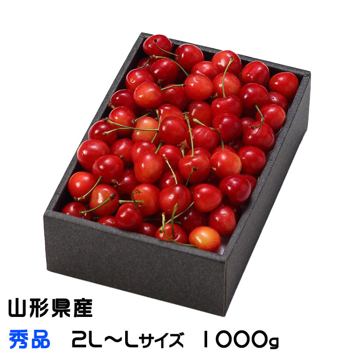 さくらんぼ 秀品 2L～Lサイズ 1000g 化粧箱 山形県産 ギフト お取り寄せグルメ