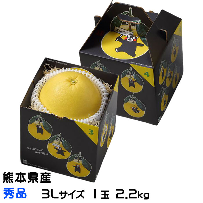 熊本県 八代市産 晩白柚 ゼリー「マキシト ゼリー」セット（5袋