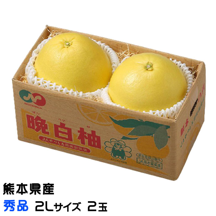 熊本県 八代市産 晩白柚 ゼリー「マキシト ゼリー」セット（5袋