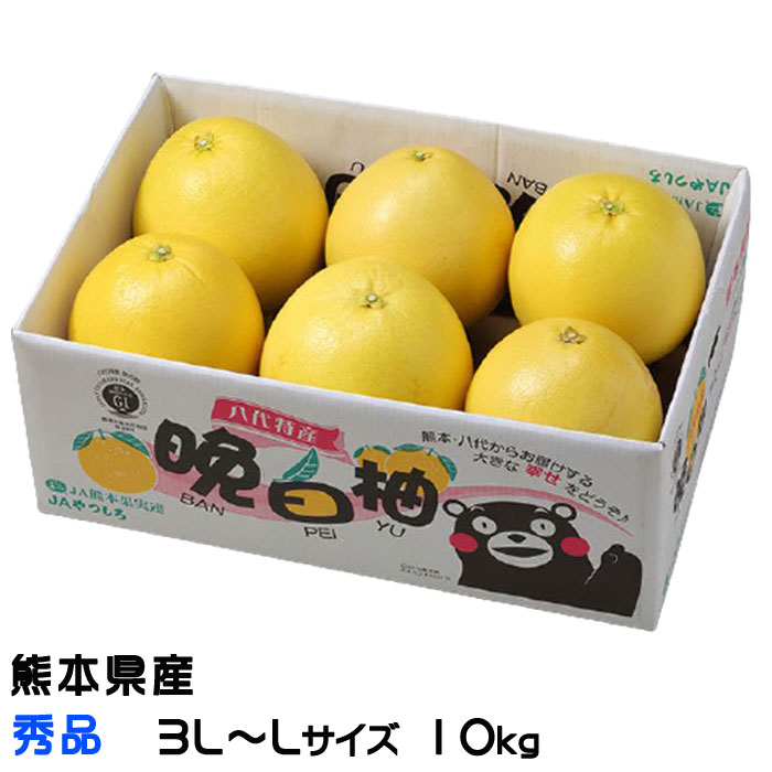 楽天市場】【送料無料】 熊本県産 ハウス 晩白柚 （ばんぺいゆ） L〜3L