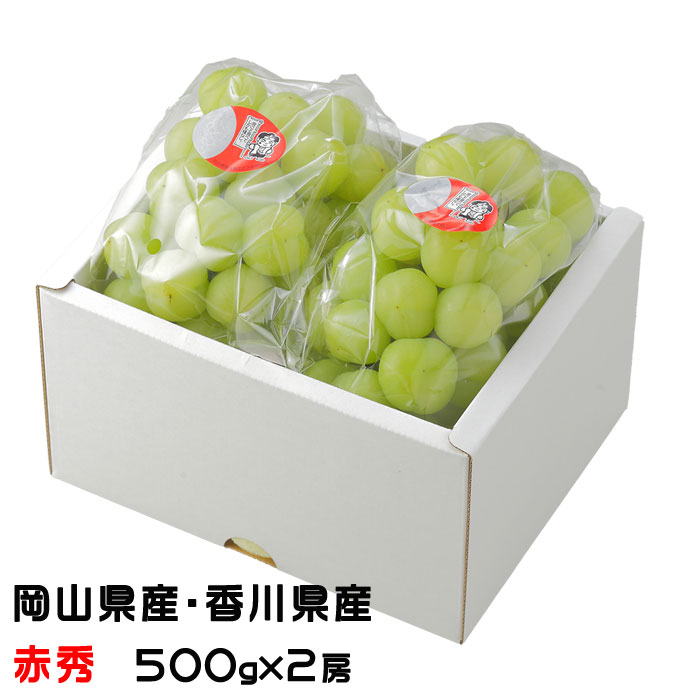 楽天市場】お歳暮 ぶどう 桃太郎ぶどう 青秀 500g×2房 岡山県産 香川県