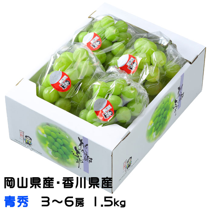 お中元 ぶどう 桃太郎ぶどう 青秀 3～6房 1.5kg 岡山県産 香川県産 葡萄 ブドウ