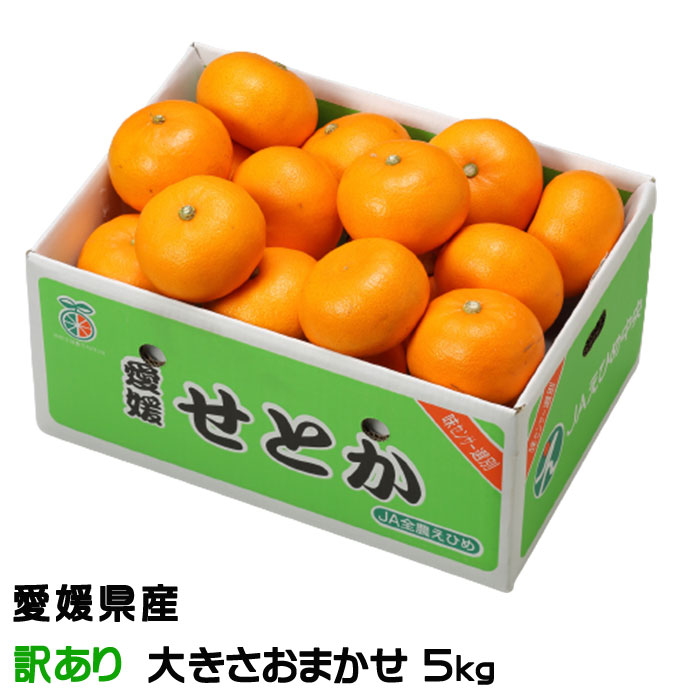 【日本産】 楽天市場】紅八朔 べにはっさく 赤秀 3L〜Lサイズ 25〜35玉 10kg 果物