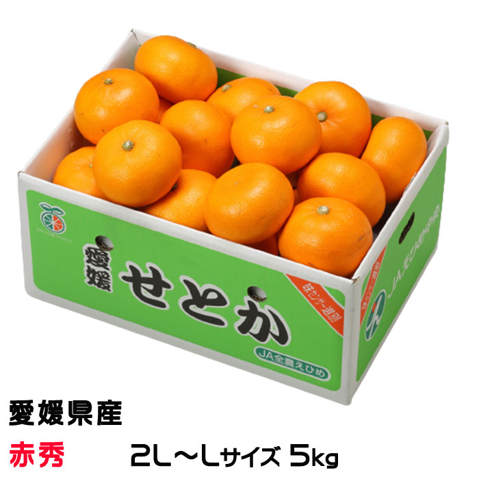 楽天市場】みかん せとか 赤秀 2L〜Lサイズ 5kg 愛媛県産 JA