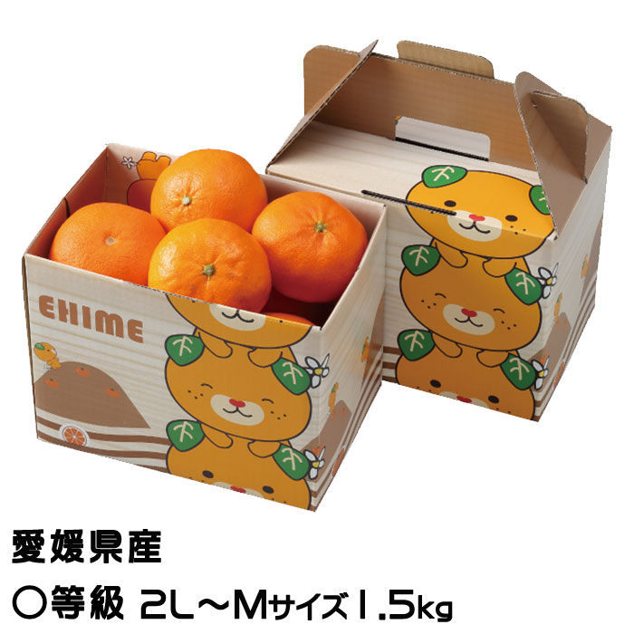 楽天市場】みかん せとか 〇等級 2L〜Mサイズ 1.5kg みきゃん箱入り