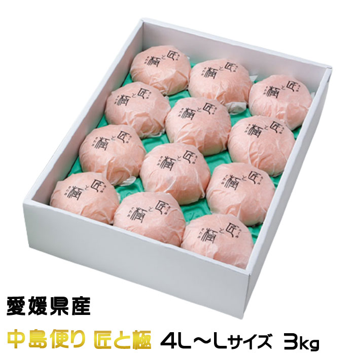 みかん せとか 中島便り 匠と極 4L～Lサイズ 8～15玉 3kg ■ 愛媛県産 ＪＡえひめ中央 中島選果場 ミカン 蜜柑 ギフト 贈り物
