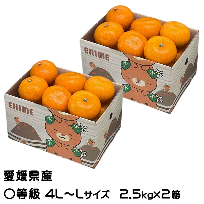 ご自宅用限定お買い得品 楽天市場】みかん せとか 5kg×2箱 〇等級 4L〜Lサイズ お みかん