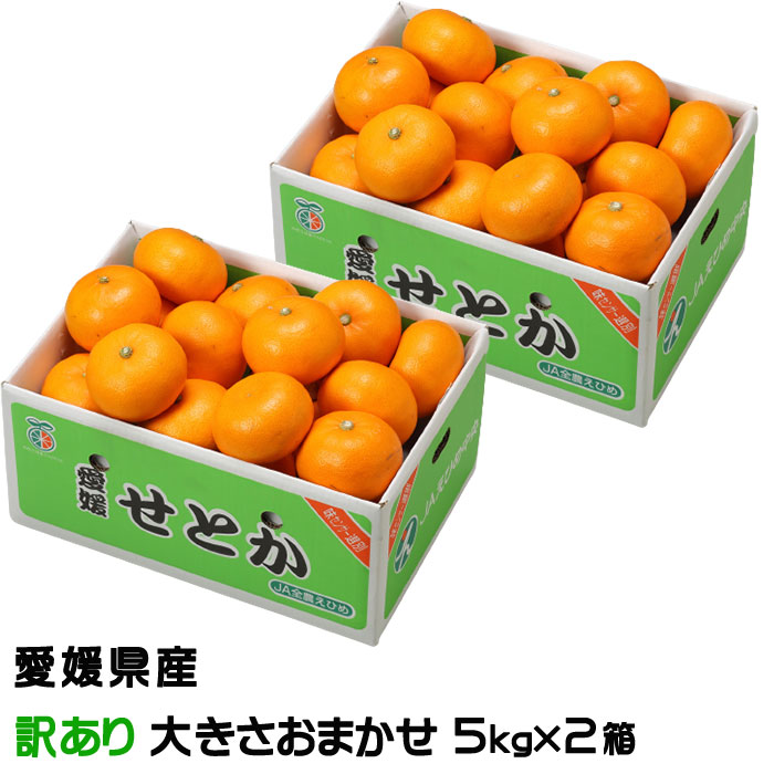 みかん せとか 5kg×2箱 風のいたずら 訳あり 大きさおまかせ 愛媛県 中島産 ミカン 蜜柑 ギフト 贈り物