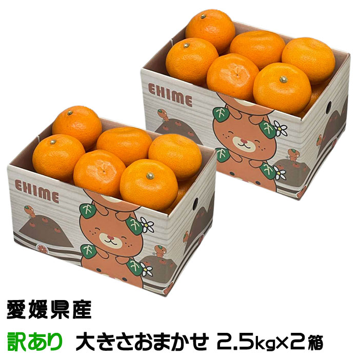 楽天市場】みかん せとか ◯等級 4L〜Lサイズ 5kg 愛媛県産 JA