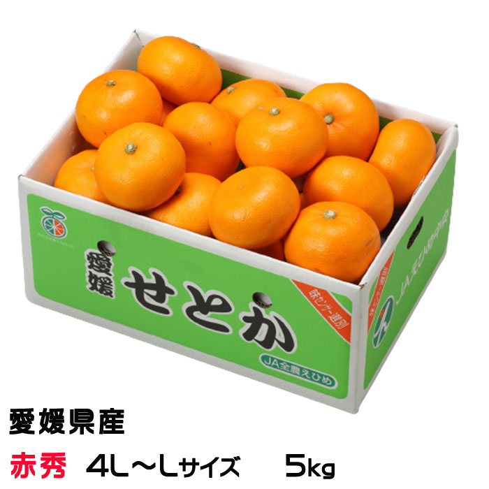 楽天市場】みかん せとか 赤秀 匠と極 4L~Lサイズ 8~15玉 3kg 愛媛県 楽天市場】みかん せとか 赤秀 匠と極 4L~Lサイズ 8~15玉 3kg 愛媛県