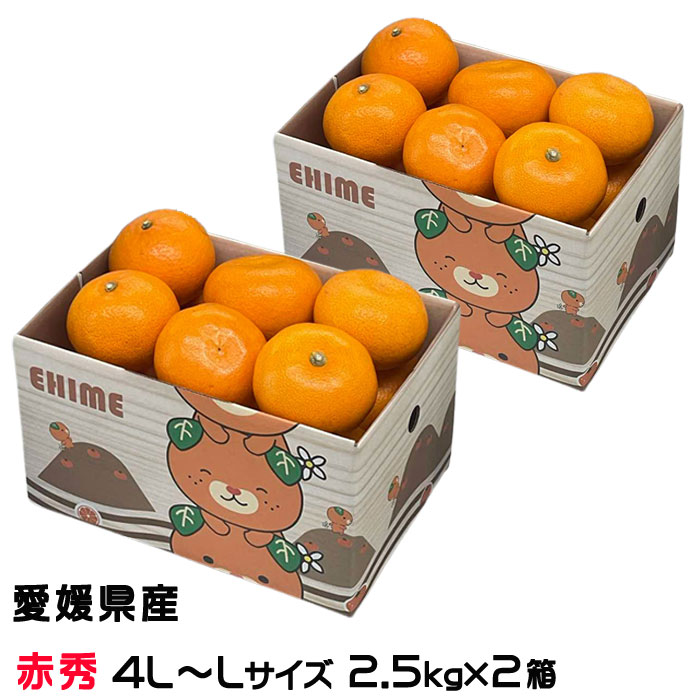 みかん せとか 2.5kg×2箱 赤秀 2L～Mサイズ みきゃん箱入り お取り寄せグルメ 愛媛県産 ミカン 蜜柑 贈り物
