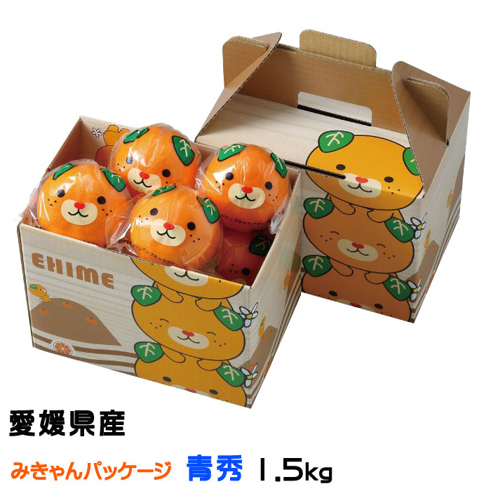 今年人気のブランド品や 楽天市場】みかん せとか みきゃん箱入り 風のいたずら 訳あり 果物