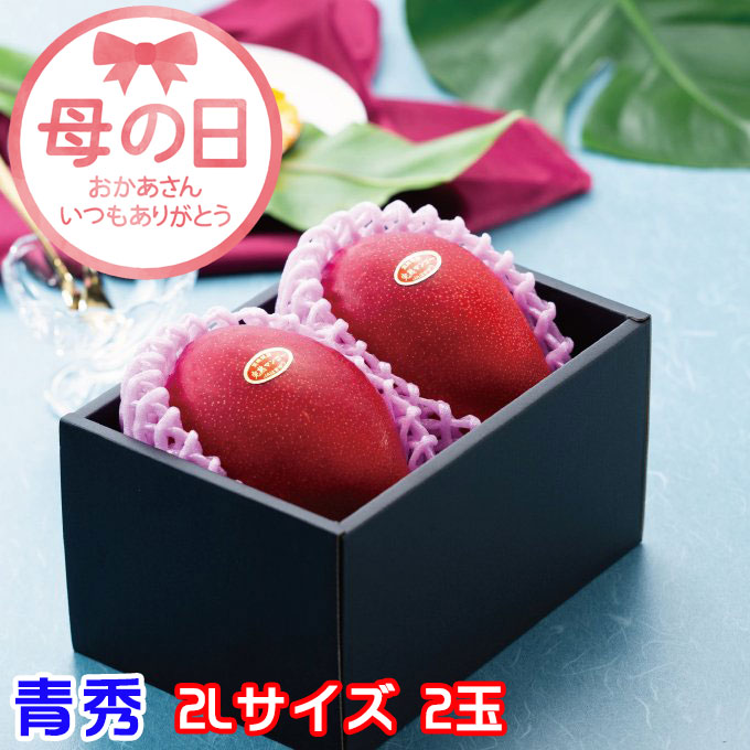 遅れてごめんね 母の日 2025 みやざき完熟マンゴー 青秀 2L 350g以上×2玉 JA宮崎経済連 宮崎県産 ギフト プレゼント