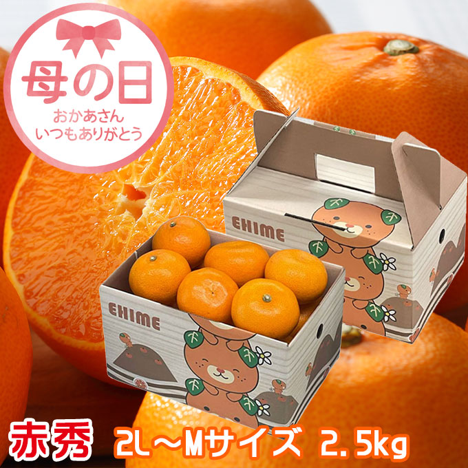 楽天市場】みかん せとか ◯等級 4L〜Lサイズ 5kg 愛媛県産 JA
