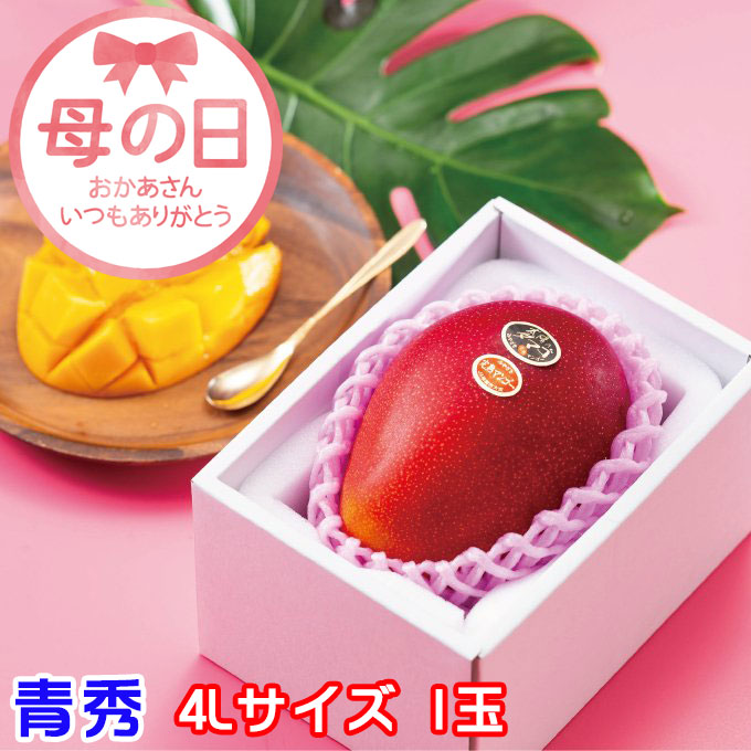 遅れてごめんね 母の日 2025 太陽のタマゴ 青秀 4L 500g以上×1玉 JA宮崎経済連 宮崎県産 完熟マンゴー 太陽のたまご ギフト プレゼント