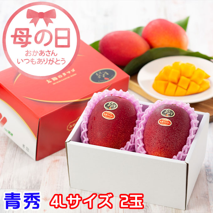 遅れてごめんね 母の日 2025 太陽のタマゴ 青秀 4L 500g以上×2玉 JA宮崎経済連 宮崎県産 完熟マンゴー 太陽のたまご ギフト プレゼント