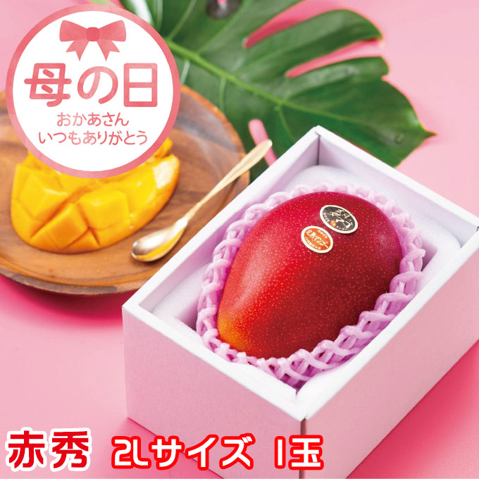 遅れてごめんね 母の日 2025 太陽のタマゴ 赤秀 2L 350g以上× 1玉 JA宮崎経済連 宮崎県産 完熟マンゴー 太陽のたまご ギフト プレゼント