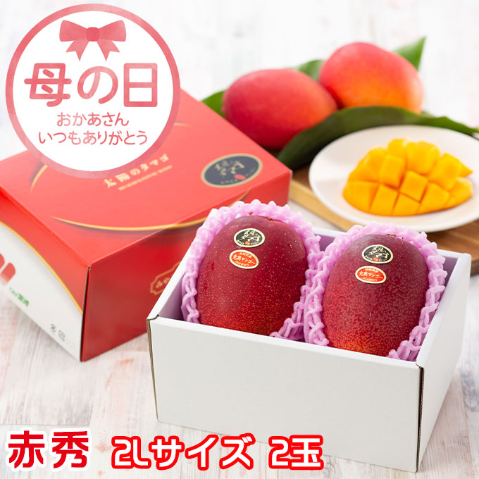 遅れてごめんね 母の日 2025 太陽のタマゴ 赤秀 2L 350g以上×2玉 JA宮崎経済連 宮崎県産 完熟マンゴー 太陽のたまご ギフト プレゼント