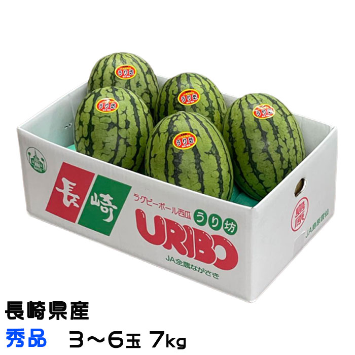すいか うり坊 秀品 3～6玉 7kg 長崎県産 小玉すいか スイカ 西瓜