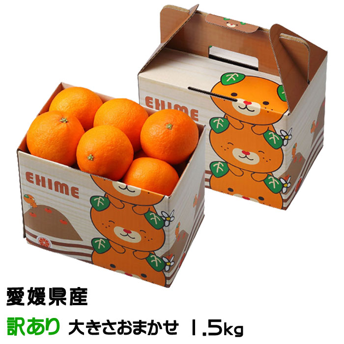 楽天市場】愛媛 中島産 まどんな 訳あり 1kg 紅まどんなと同品種