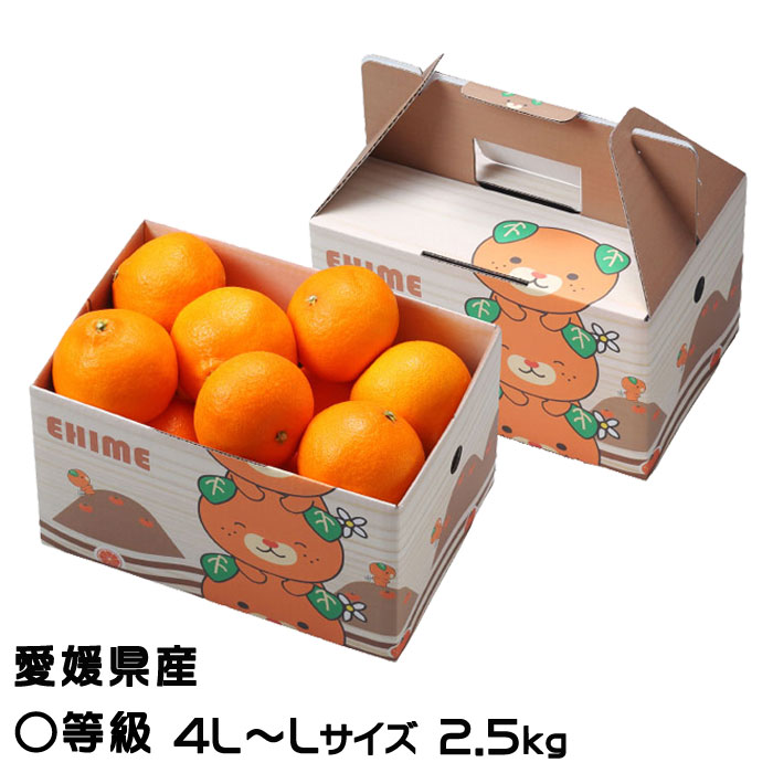 楽天市場】みかん 紅まどんな 〇等級 4L〜Lサイズ 2.5kg みきゃん箱入