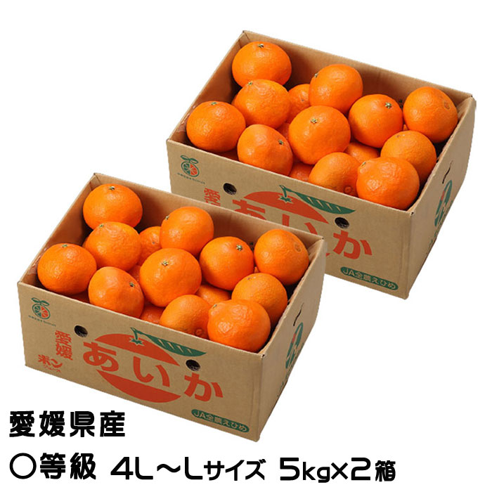 楽天市場】みかん あいか 5kg×2箱 訳あり 大きさおまかせ 紅まどんなと