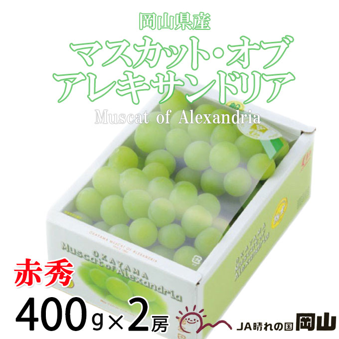 楽天市場】お中元 ぶどう マスカット オブ アレキサンドリア 青秀 400g×2房 岡山県産 ＪＡおかやま 葡萄 ブドウ : はちやフルーツ楽天市場店