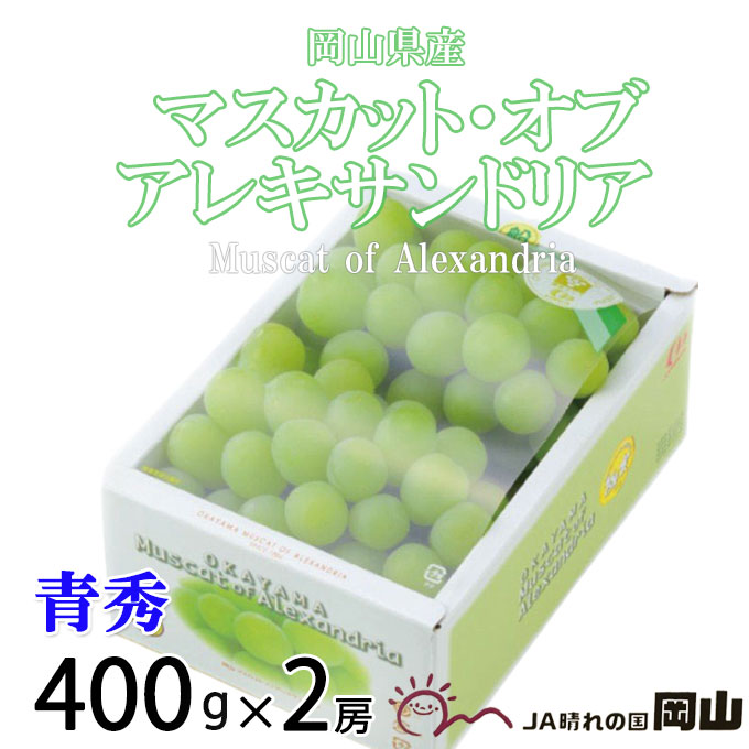 楽天市場】お中元 ぶどう マスカット オブ アレキサンドリア 風のいたずら ちょっと訳あり 500g×2房 岡山県産 ＪＡおかやま 葡萄 ブドウ :  はちやフルーツ楽天市場店