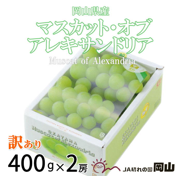 楽天市場】お中元 ぶどう マスカット オブ アレキサンドリア 風のいたずら ちょっと訳あり 500g×2房 岡山県産 ＪＡおかやま 葡萄 ブドウ :  はちやフルーツ楽天市場店